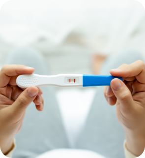 Period & Fertility Support Supplements
